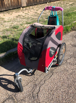 Doggy pushchair for pets with walking disabilities who still need walkies and social interaction