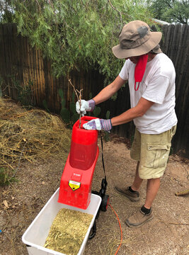 Adult male wearing thick protective gloves feeds garden sticks and small branches into an electric wood chipper.