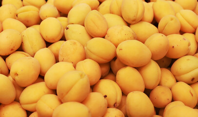 apricots for sale in a store,