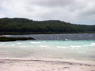 beach with trees australia