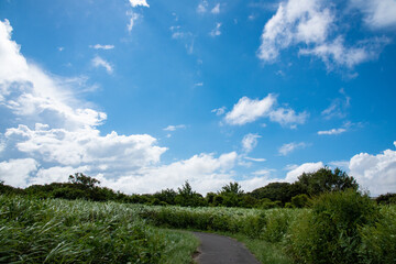 青空