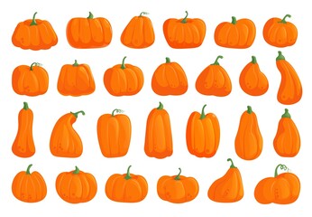 Pumpkin collection. Cartoon orange pumpkin set isolated vector icon on white. Halloween october holiday and thanksgiving decorative vegetable various shape and size. Autumn gourd harvest illustration