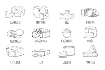 Cheese sketch. Engraved camembert, maasdam, brie, dorblue, mozzarella, gorgonzola, mascarpone, gouda, pepper jack, feta, cheddar, parmesan cheese icon set. Vector dairy product kind illustration