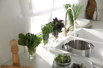 Glasses with fresh herbs on windowsill near sink in kitchen