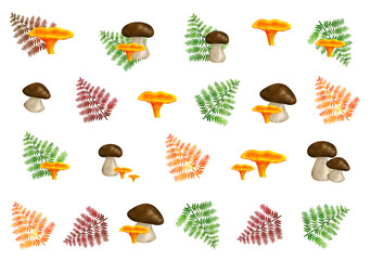 autumn © PF1