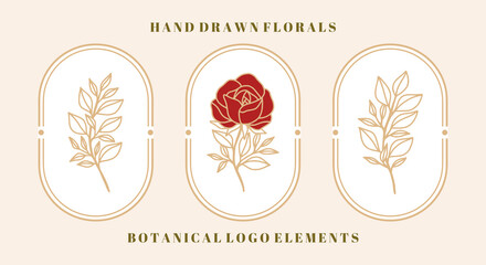 Set of vintage botanical rose flower and leaf element for feminine beauty logo and brand