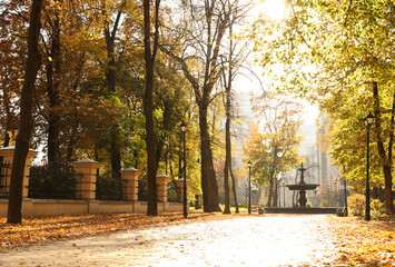 Beautiful city park with trees in autumn