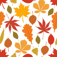 Obraz premium Autumn seamless patterns. Fall leaves. 