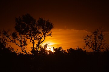Fototapeta na wymiar Brasília's famous sunset 