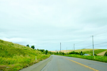 Fototapeta premium 自然あふれる街道