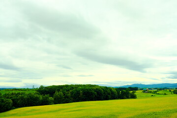 Obraz premium 丘の上の公園