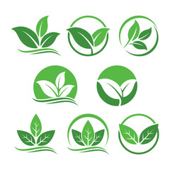 Leaf Logo Design Vector Set