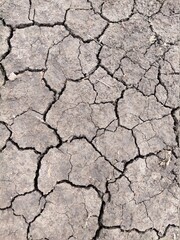 dry cracked earth