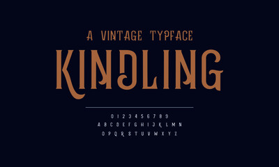 Elegant vintage design alphabet. Vector illustration of typography fonts set. Classic typeface.