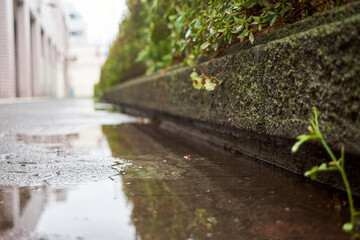 水たまり・歩道・足元・ローアングル・雨期