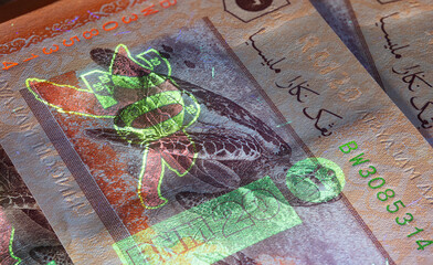 Macro photography of 20 Malaysian ringgit with fluor light. Extreme close-up of RM20 Malaysia. Sharp capture of the Hawksbill turtle on the banknote. Invisible fluorescent image gets visible