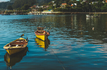 Fishing boats in niebla city, Valdivia Chile