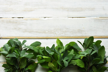 A top view image of fresh white sage bunches on a white wooden table top. 