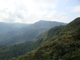 rainforest mountains costa rica jungle