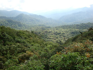 Naklejka na ściany i meble rainforest mountains costa rica jungle