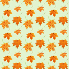 Seamless pattern from made of dry autumn leaves. Autumn print for fabric, wrapping paper.