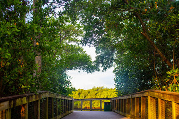 path in the park