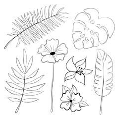 Set of tropical leaves and flowers. Line art. Minimalism. Stencil. Coloring. Isolated vector illustration.