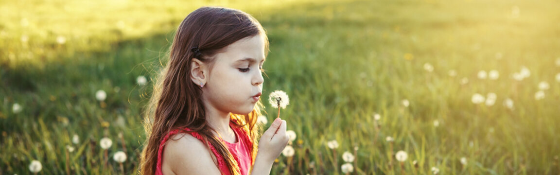 Cute adorable Caucasian girl blowing dandelions. Kid sitting in grass on meadow. Outdoors fun summer seasonal children activity. Child having fun outside. Web banner header.