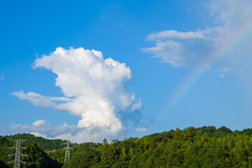 写真素材 青空 空 飛行機雲 夏の空 秋 背景 背景素材 9月 コピースペース Wall Mural Rummy Rummy 写真素材 青空 空 飛行機雲 夏の空 秋 背景 背景素材 9月 コピースペース Wall Mural Rummy Rummy