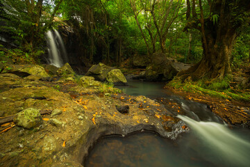 Waterfall landscape. Beautiful hidden waterfall in tropical rainforest. Nature background. Slow...