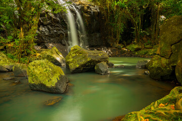 Waterfall landscape. Beautiful hidden waterfall in tropical rainforest. Nature background. Slow...