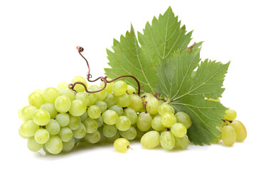 Grapes on a white background
