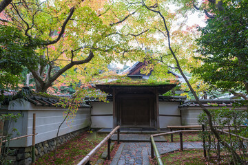 Fototapeta na wymiar Autumn leaves in Kyoto