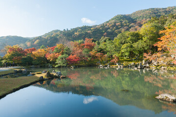 Fototapeta na wymiar Autumn leaves in Kyoto