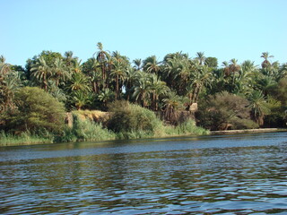 Egypt, Nile River, palm trees and views