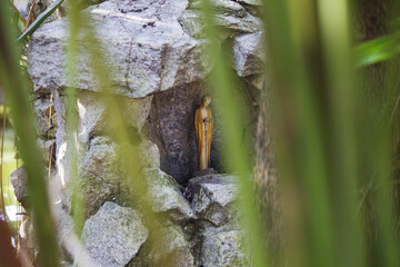 image of our lady on the stones