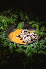 Vanilla ice cream with mango sauce on rustic background