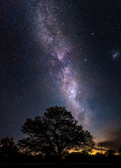 Fototapeta na wymiar Amazing night scene of the milky way falling toward a silhouette of leafy tree with millions of stars as sand in the sky