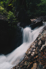 Fototapeta premium 山の川の水