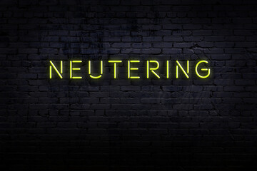 Neon sign. Word neutering against brick wall. Night view