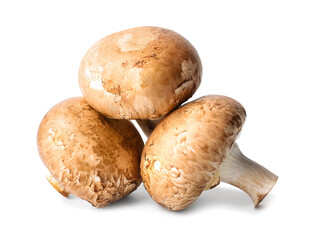 Raw mushrooms on white background