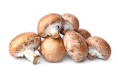 Raw mushrooms on white background