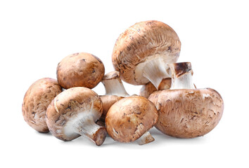 Raw mushrooms on white background