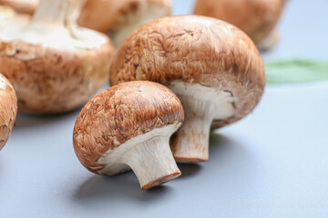 Raw mushrooms on light background, closeup