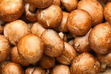 Many raw mushrooms as background