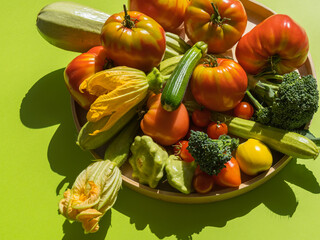 Plate with fresh vegetables on a green background under the rays of the sun