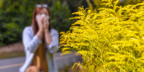 Ambrosia bush in the background woman blows her nose in napkin. Seasonal allergic reaction to...