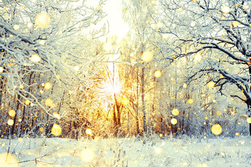 snowy winter landscape with forest and sun