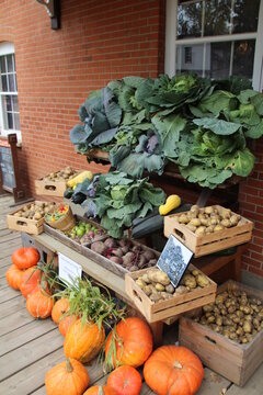 Harvest Foods, Fort Edmonton Park, Edmonton, Alberta