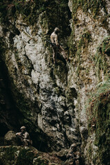 Soldier on the rocks